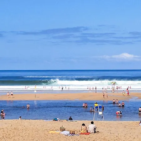 Grands Espaces By Interhome Mimizan-Plage