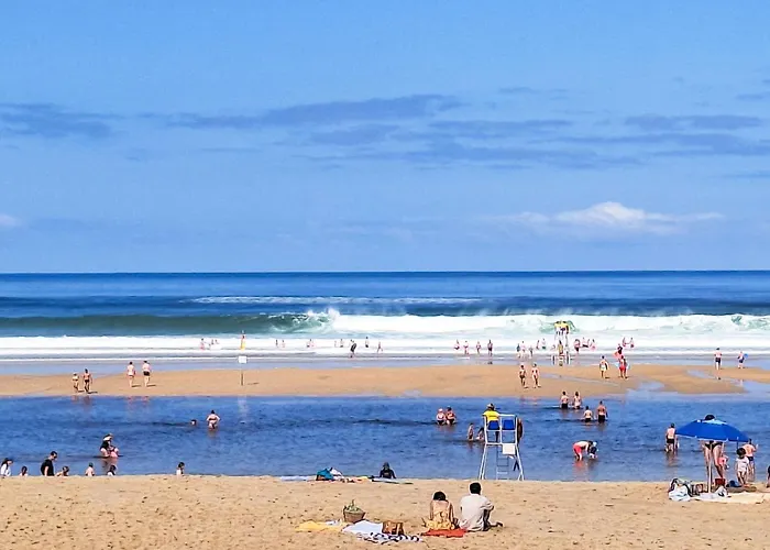 Grands Espaces By Interhome Mimizan-Plage